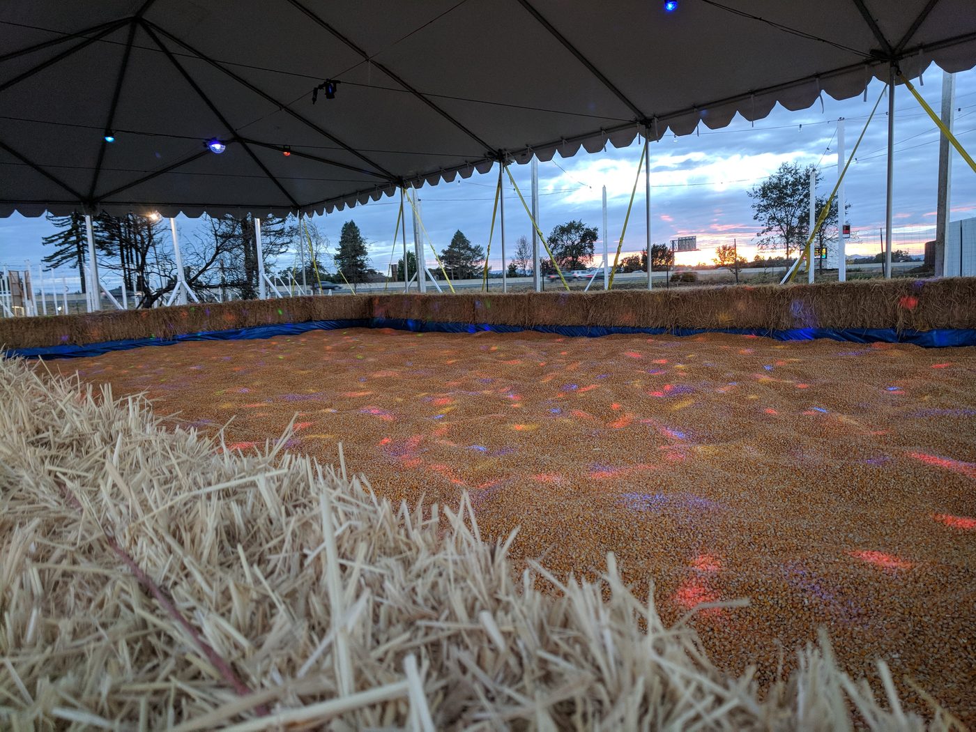 Disco corn pit under colorful lights
