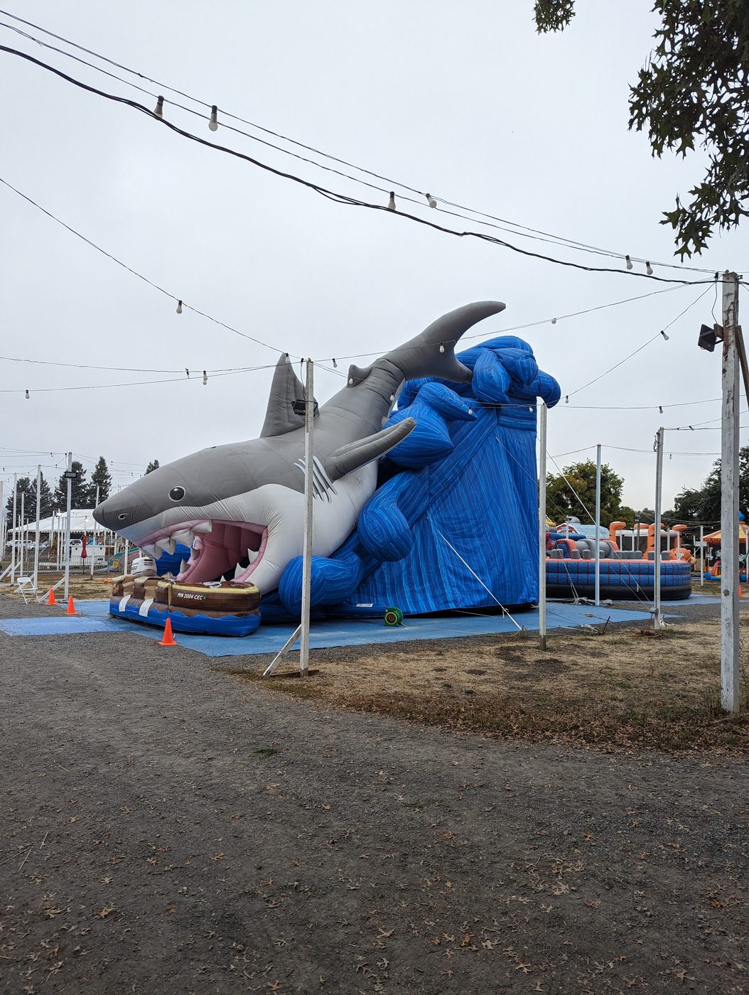 Great white shark themed inflatable slide
