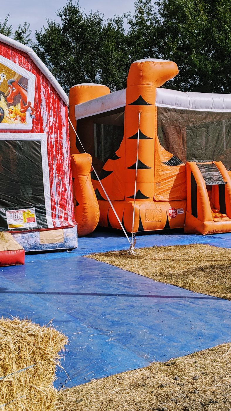 Orange tiger-striped jump house