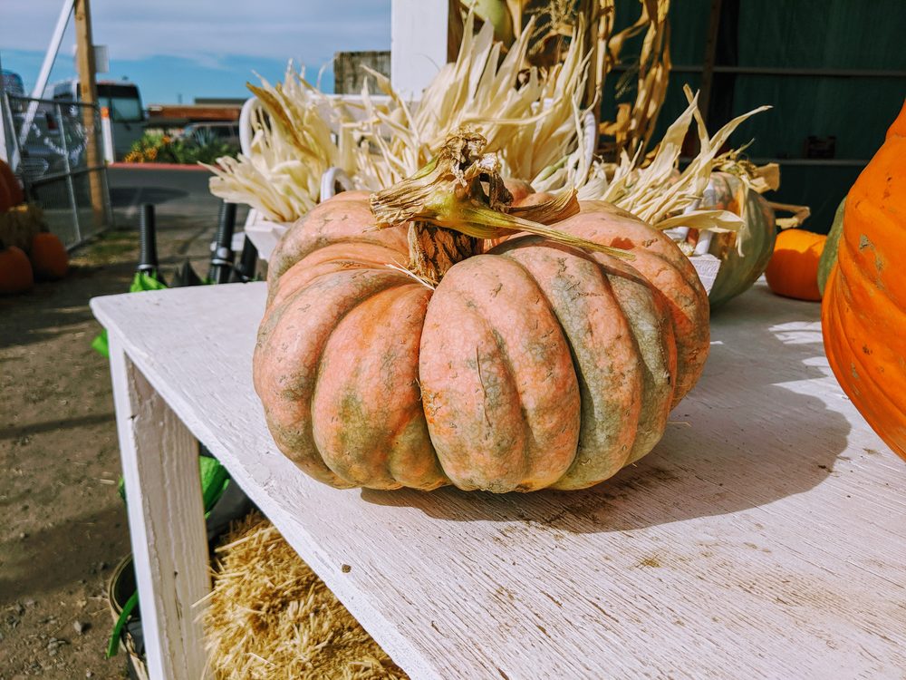 Large fairytale pumpkin on a white table